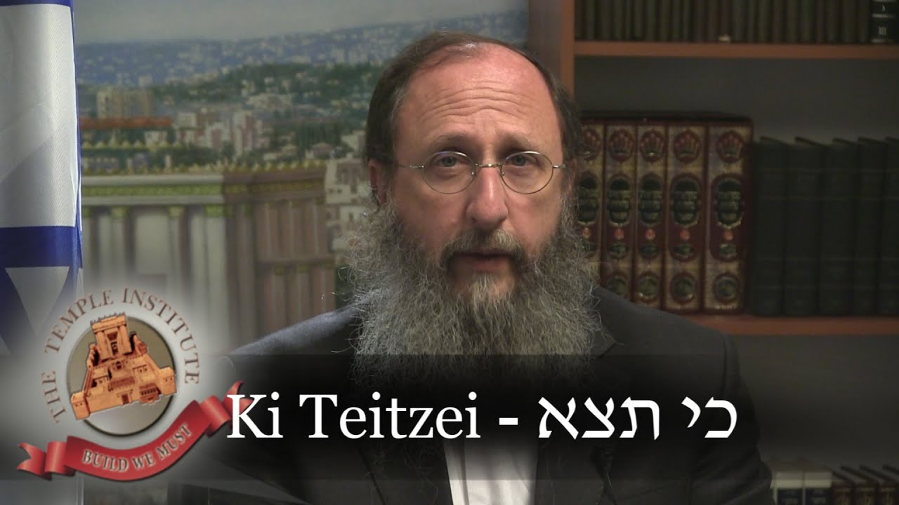 Weekly Torah Portion: Ki Teitzei