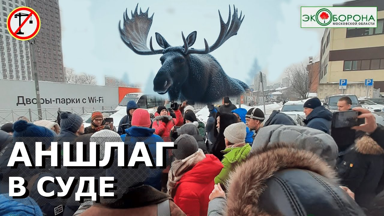 ✊Суд начался! Люди - за Лосиный остров