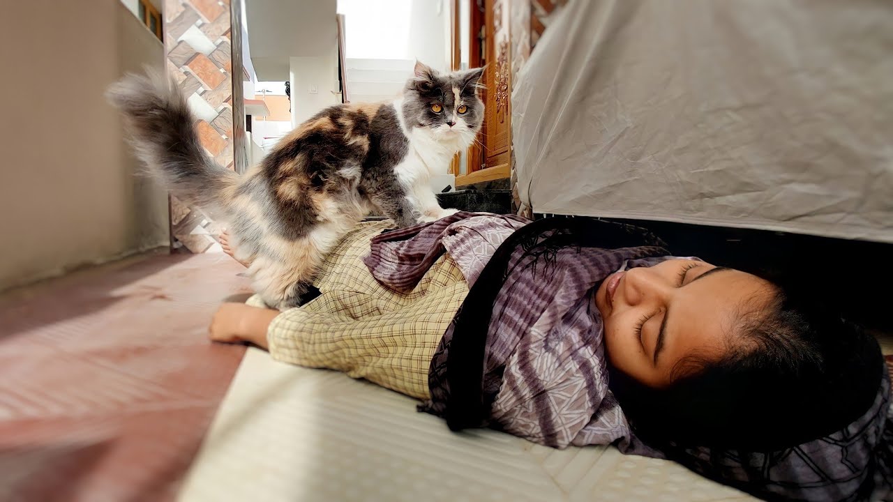 DEATH PRANK ON NIKKI..😸