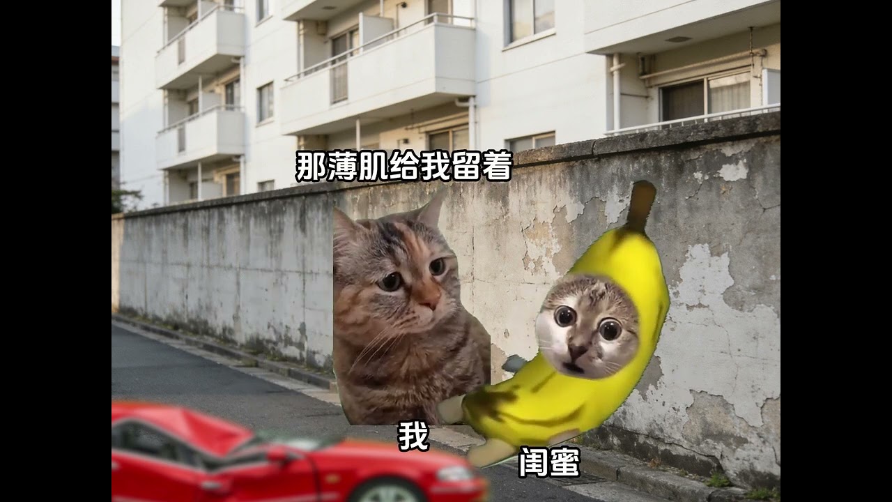 《古今閨蜜》第一集 #貓meme #貓meme故事 #貓meme小劇場 #貓meme日常