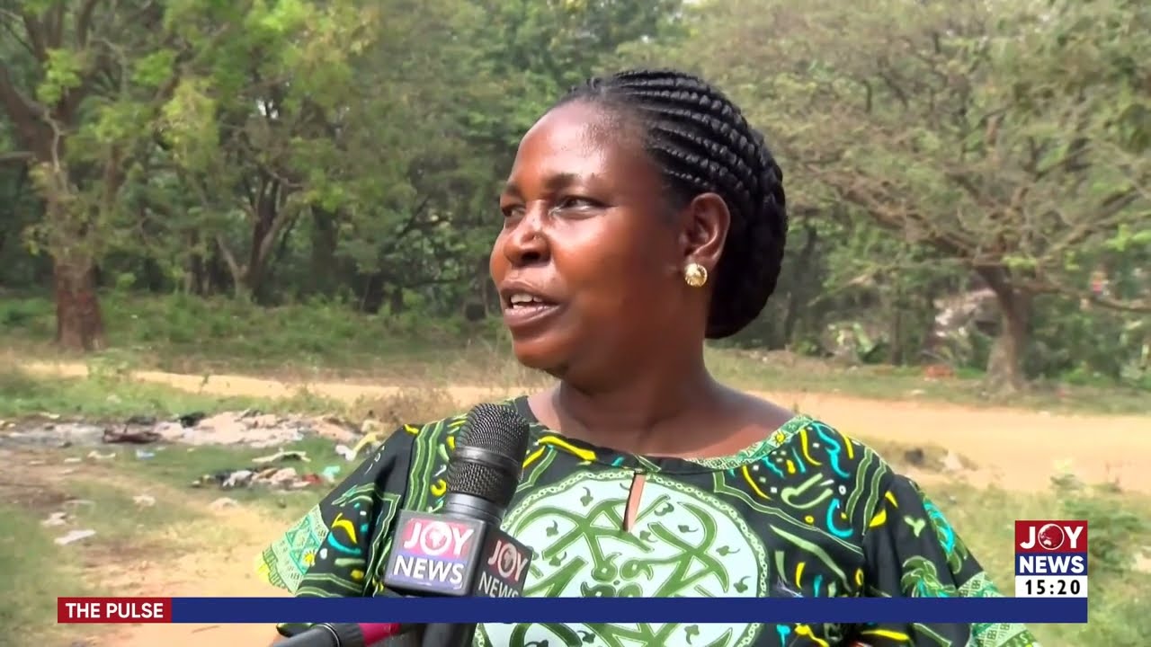 The Pulse with Blessed Sogah on JoyNews (17-1-23)