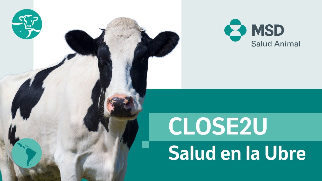 Salud en la Ubre Ep 1 - Salud de la Ubre en tiempos de crisis