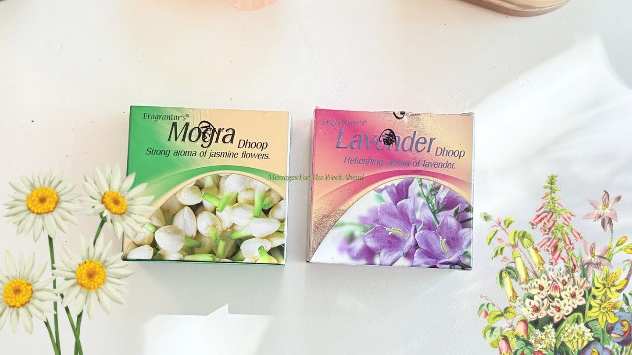 🌻🪷What Do You Need To Know Right Now🌻🪷Pick An Aroma