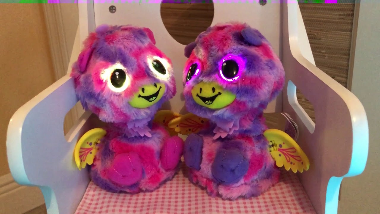 Hatching Hatchimals! Surprise Twins!
