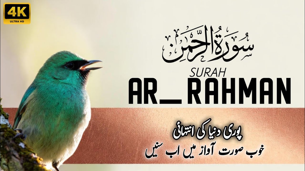 Surah Ar-Rahman | سورة الرحمن | Heart Touching Recitation with Urdu & Hindi Translation | Episode 97