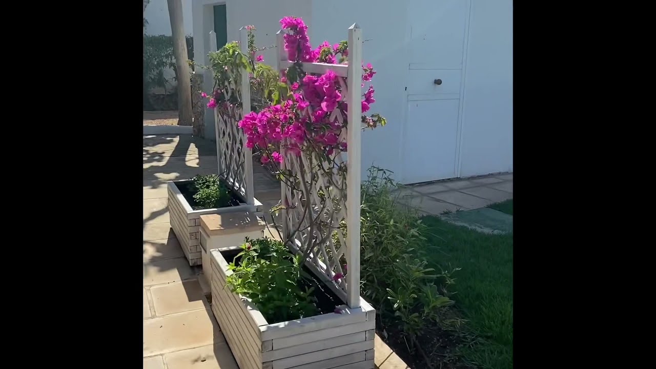 Sol Falco(Grounds/Pools)Son Xoriguer, Menorca (May2022)