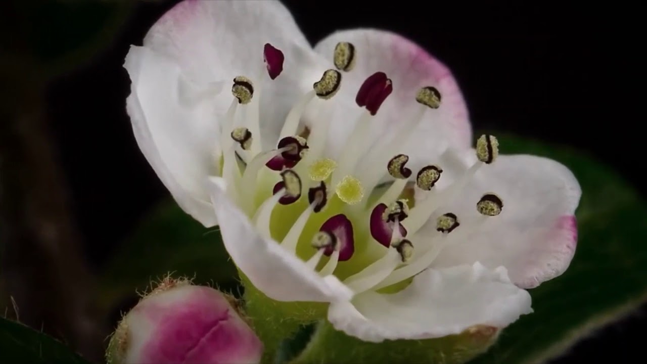 Quanta luz instrumental com imagens inspiradoras