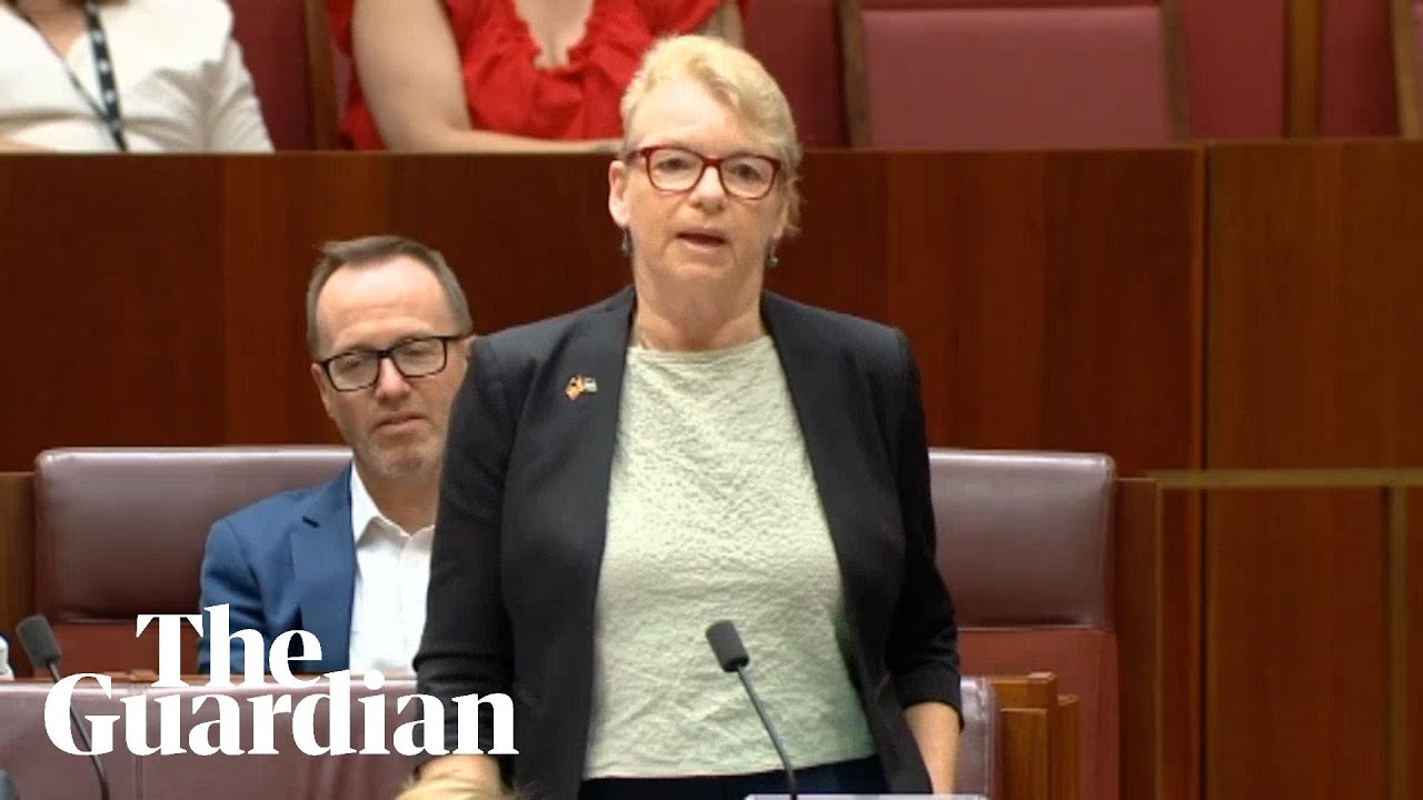 Greens senator Janet Rice says parliament protest was 'deliberate' before being censured