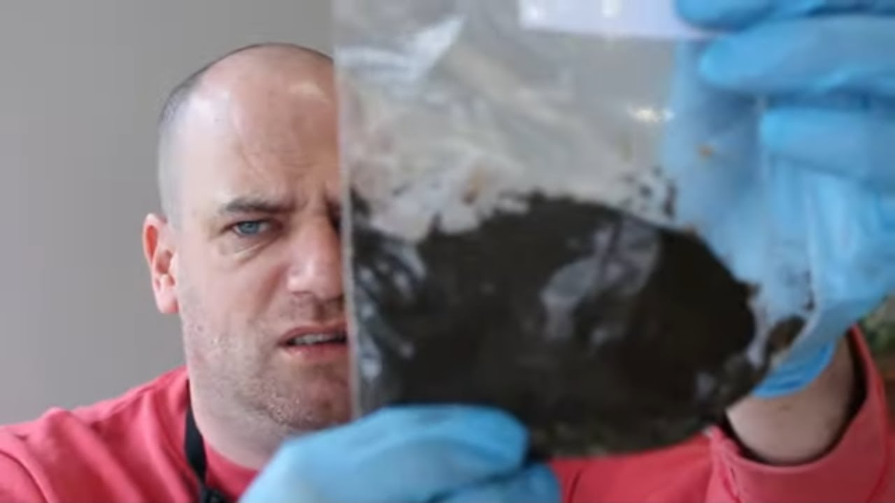 Insects & Poop - Unboxing My Terrifying Fan Mail