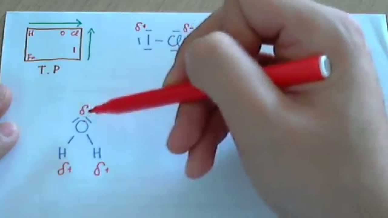 Electronegatividad, polaridad y enlaces y moléculas polares