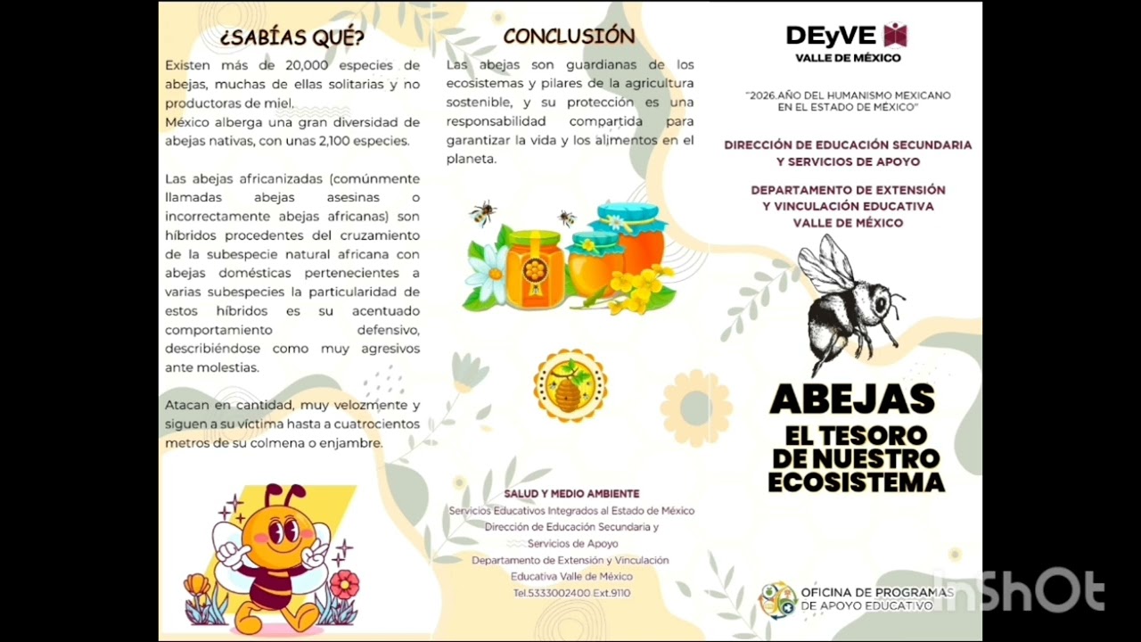 Abejas 
