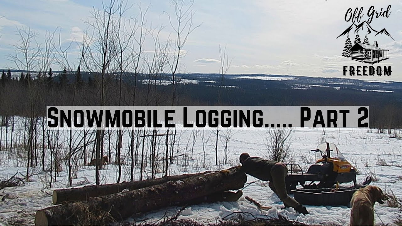 Snowmobile Logging in Northern Canada | Hauling Sawmill Logs