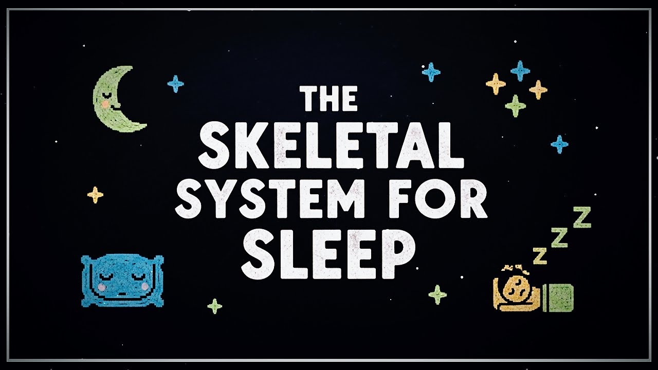 The Skeletal System For Sleep | Skeletal System to Fall Asleep To