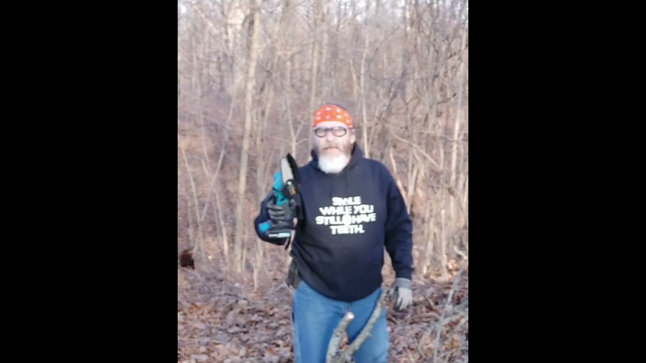 Smart Saker mini chainsaw 