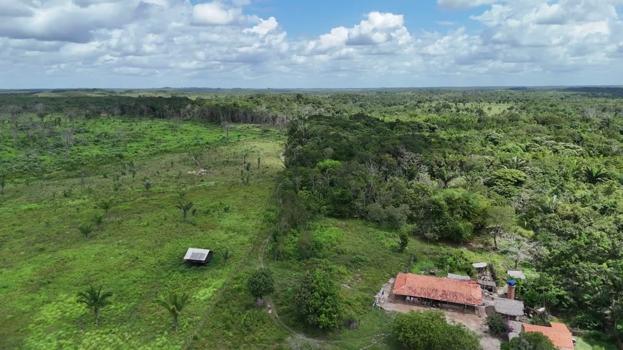 Fazenda São Raimundo em Pedro do Rosário MA