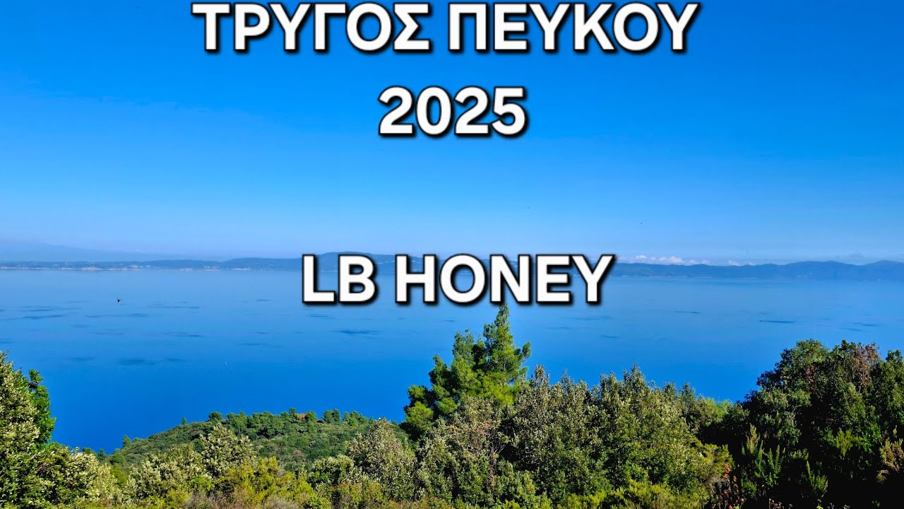 ΤΡΥΓΟΣ ΠΕΥΚΟΜΕΛΟΥ 2025