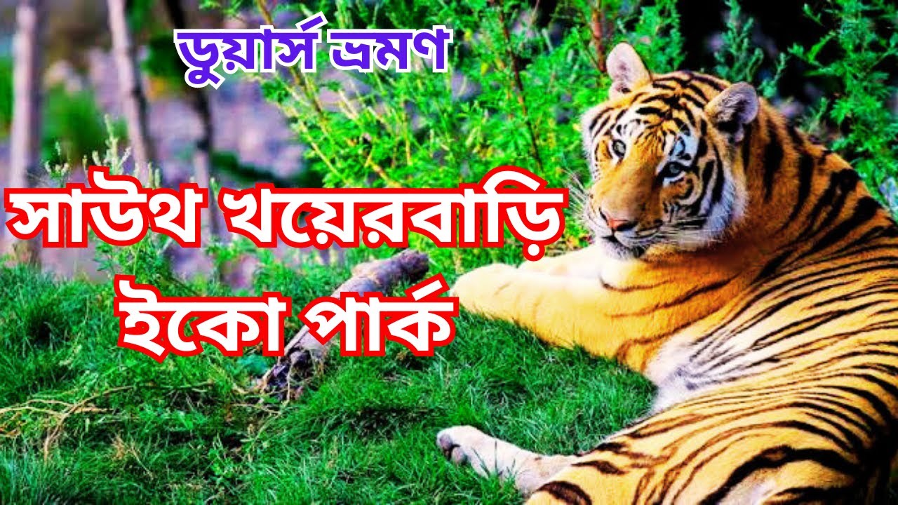 South Khairbari Eco Park &  Picnic Spot | দক্ষিণ খয়েরবাড়ি ইকো পার্ক | Khayerbari Tiger Rescue Centre
