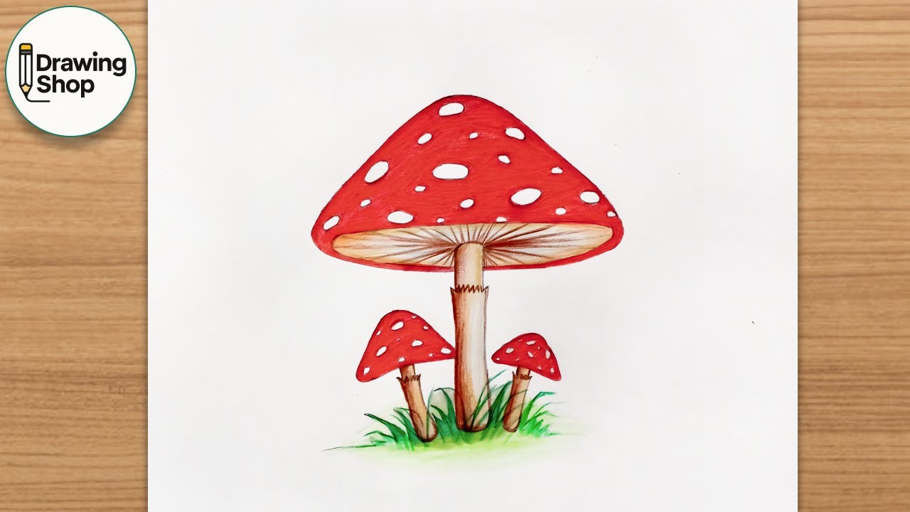How to draw Mushroom - step by step || Very easy drawing
