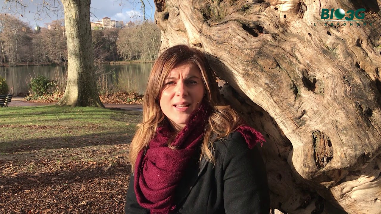 Les questions de l'agronome BIO3G - Marion Dubois