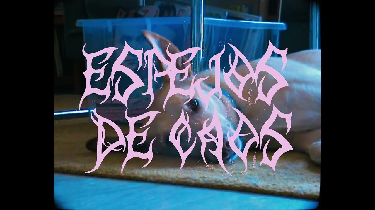 Biznaga &ndash; Espejos de caos