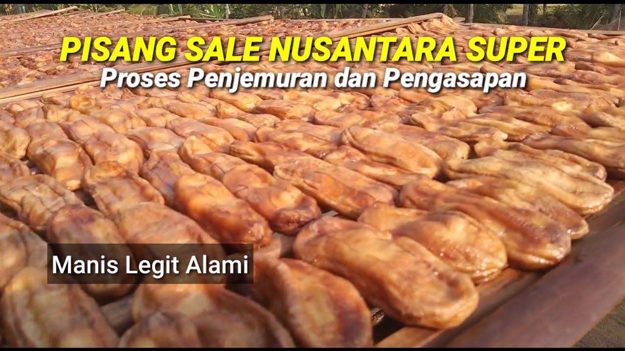 Proses Penjemuran dan Pengasapan Pisang Sale Nusantara Super Manis Legit Alami #mukbang #pisangsale