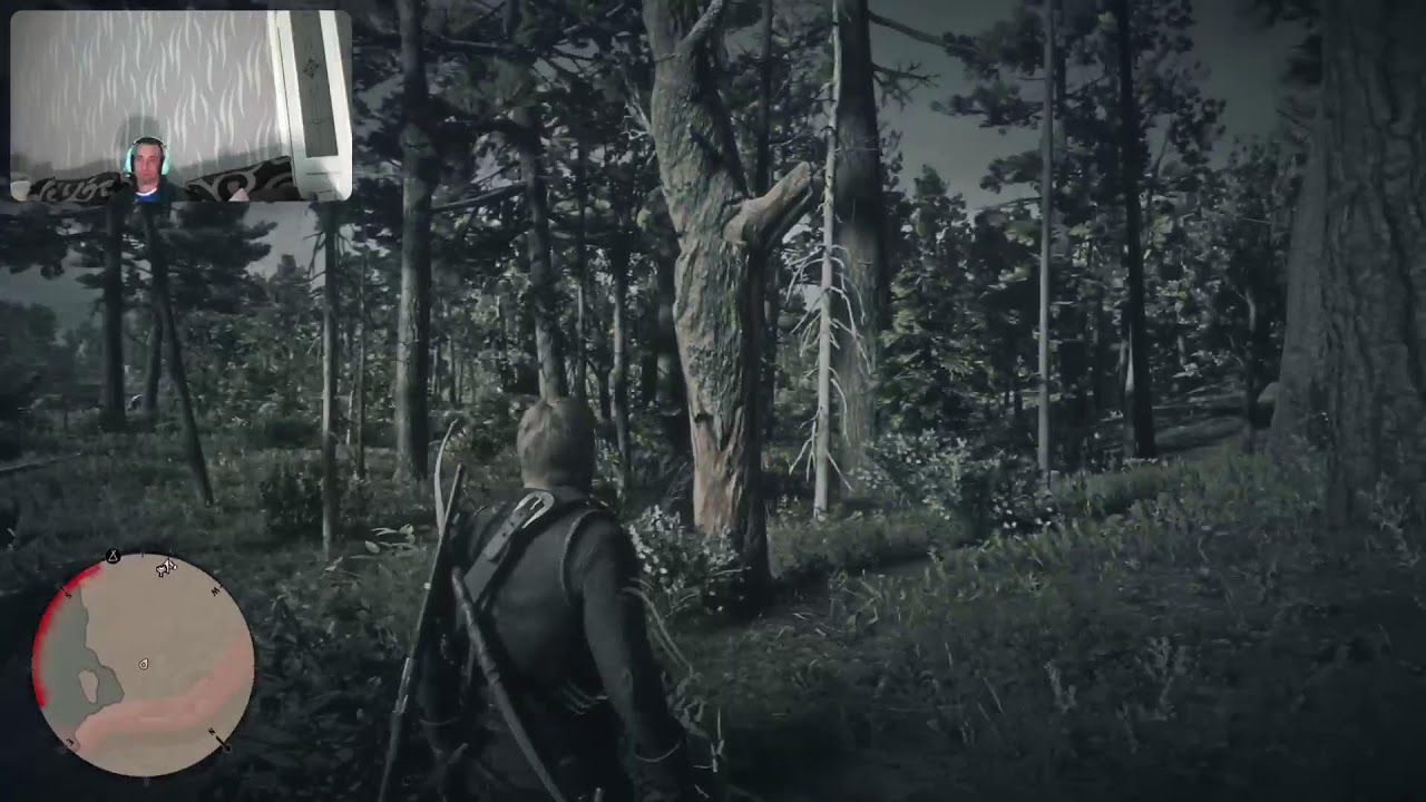 Red dead 2 with danny G