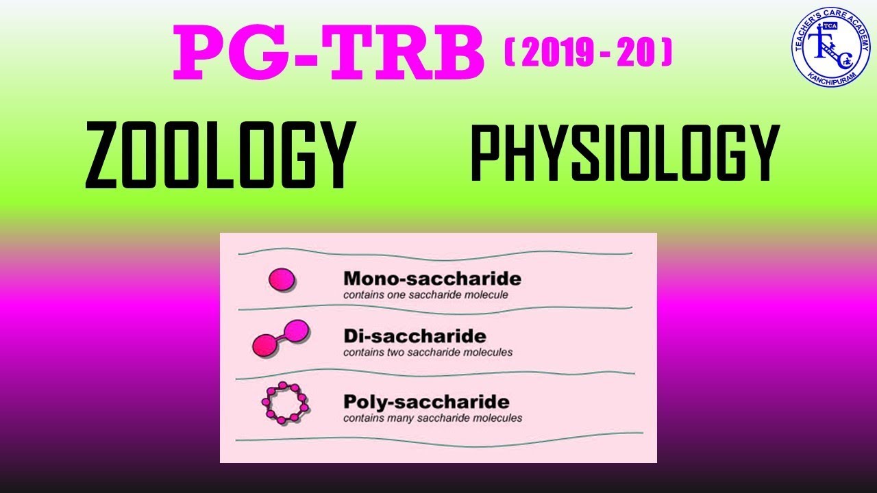 PG TRB 2019-20, ZOOLOGY- UNIT 6-PHYSIOLOGY (Saccharides)