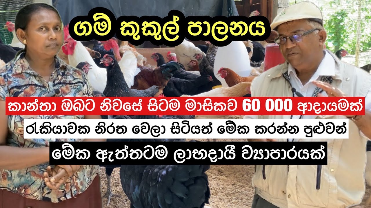 කාන්තා ඔබට නිවසේ සිටම රුපියල් 60,000 ක ආදායමක්🐓🐥