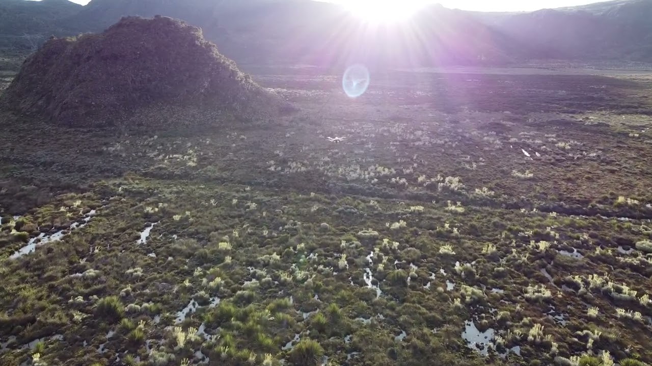 Seguimiento a #AgrasT10 desde #DJIMiniSE #BravoDrones #DJI