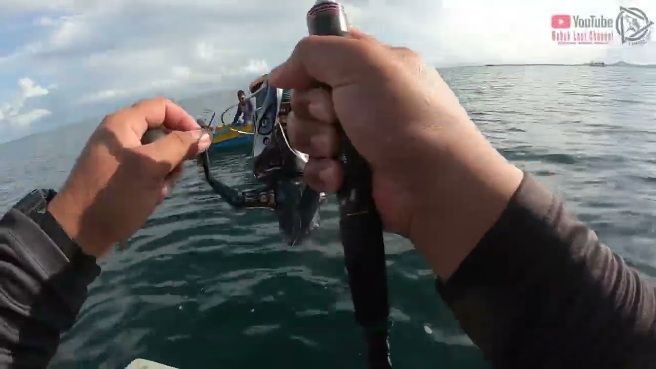 STRIKE MERIAH SI IKAN TUNA DI KAWASAN BAGANG PITAS, SABAH #tuna #pitassabah #malaysia #fishing