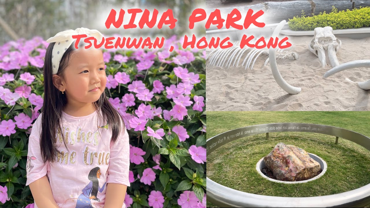 New attraction in Hong Kong 🇭🇰 | wood Fossil experience in Nina Park ||