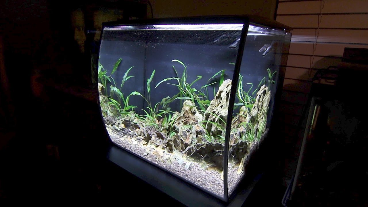 Fluval Flex: Unboxing and Setup