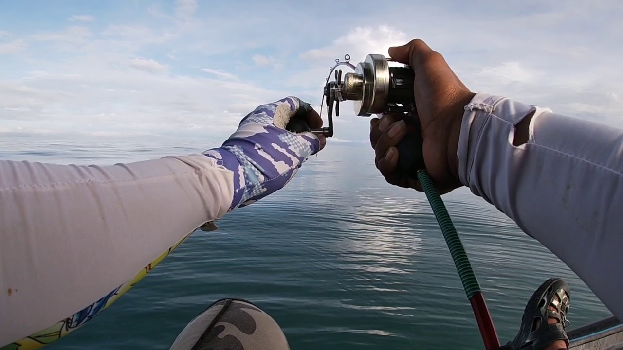 jigging ebek di hujung tahun. jemedi jig menjadi pilihan.