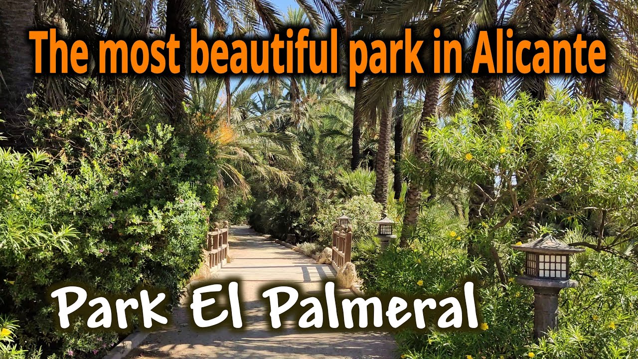 🌴🌺🌵 Park El Palmeral. The most beautiful park in Alicante 🇪🇸 #travel #travelvlog #park #alicante