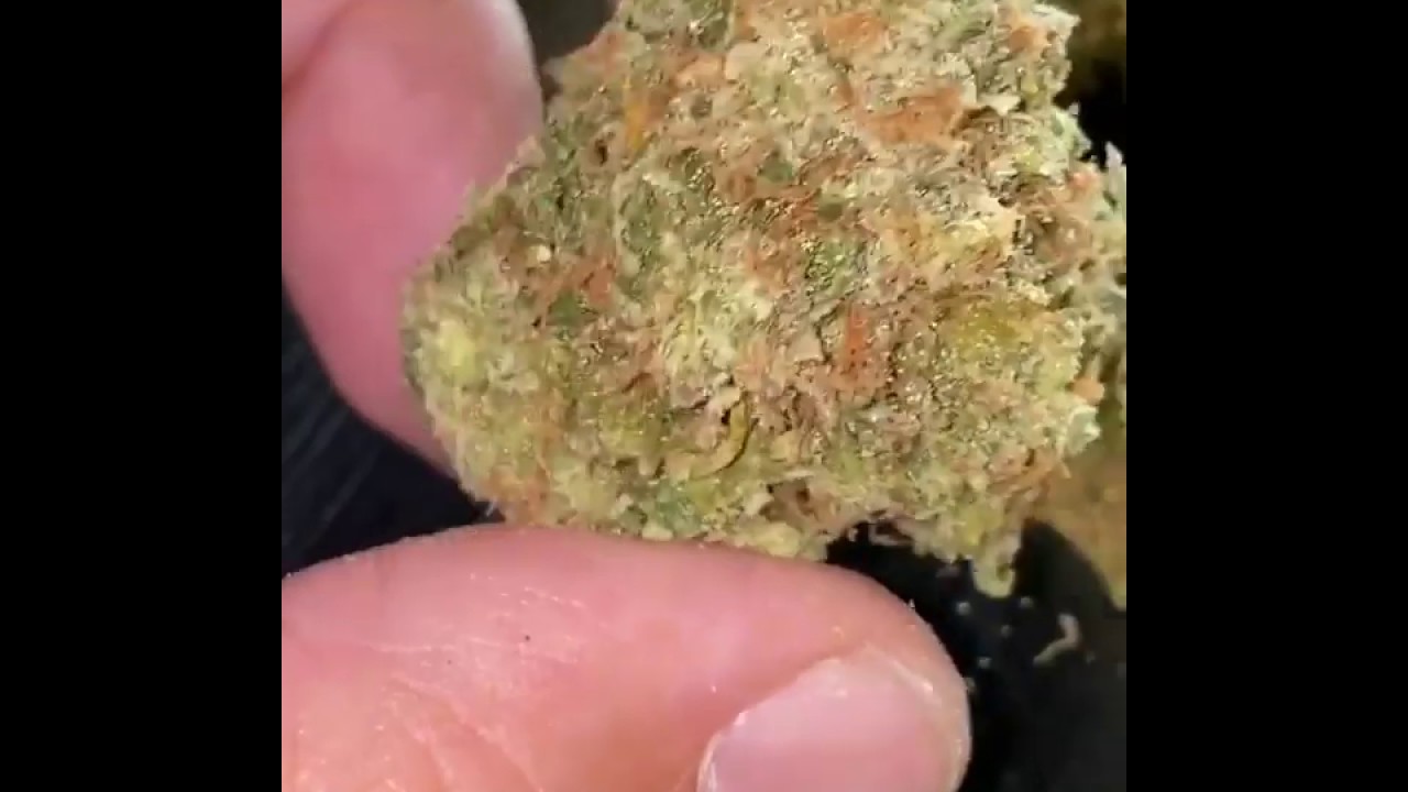 NEW COOKIES SATIVA 