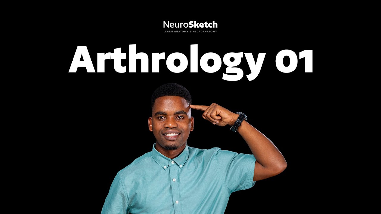 Arthrology part 1: Elements of Arthrology | Introduction & Fibrous + Cartilaginous Joints