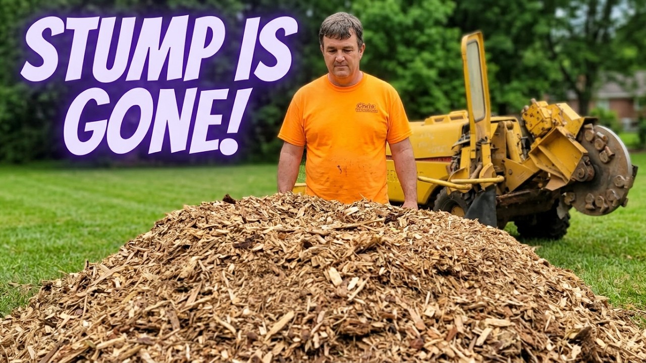 “Extremely Satisfying Tree Stump Grinding!”