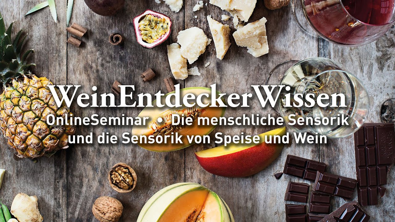 Die menschliche Sensorik und die Sensorik von Speise und Wein – WeinEntdeckerWissen OnlineSeminar