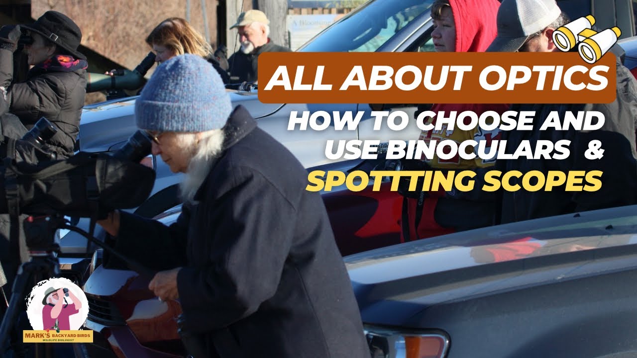 Expert Tips: How to Choose and Use Binoculars and Spotting Scopes