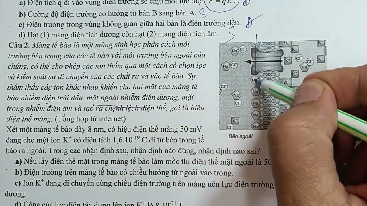ĐỀ KIỂM TRA VẬT LÍ 11- GIỮA HỌC KÌ 2- THPT LÊ QUÝ ĐÔN 2026