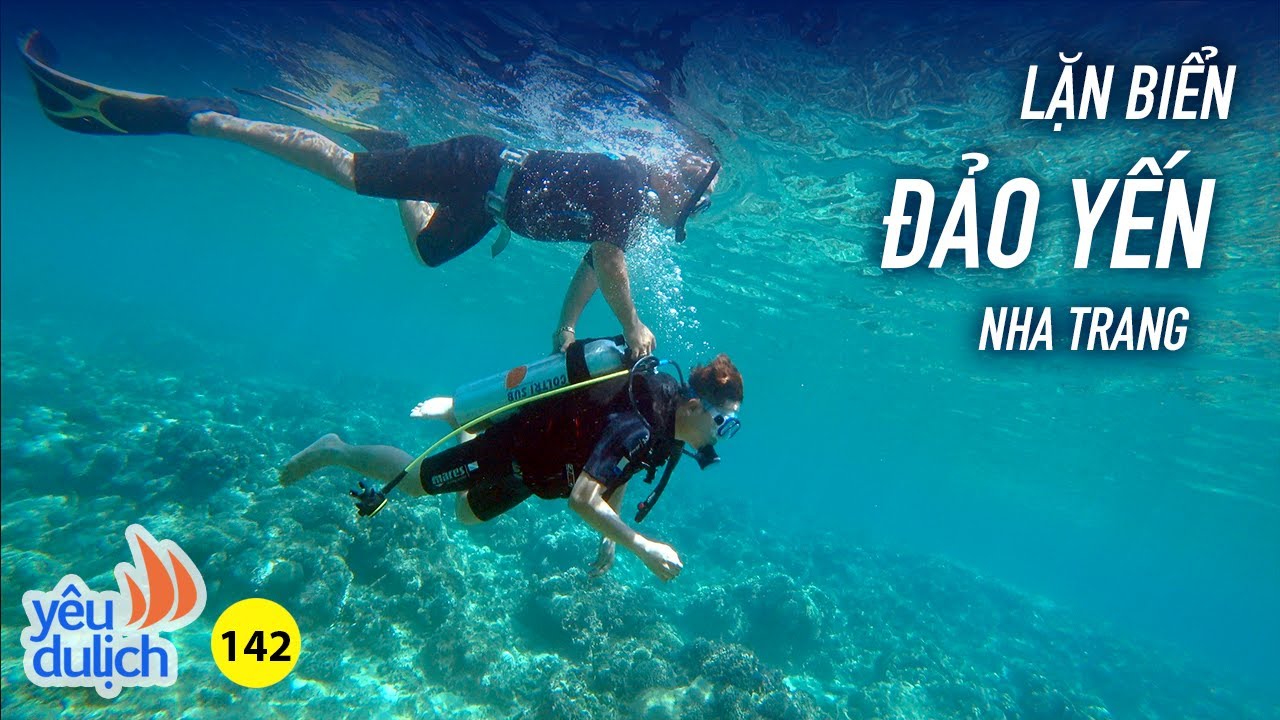 YDL #142: Lặn ngắm san hô ở đảo Yến (Nha Trang), ăn tổ yến chất lượng | Yêu Máy Bay