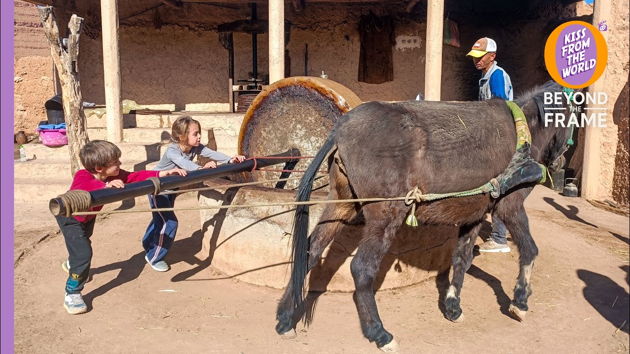 Stone-milled extra virgin olive oil in the Moroccan desert