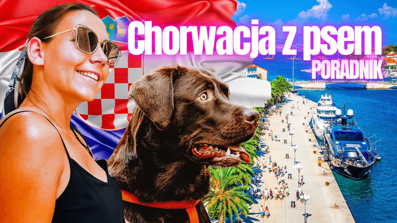 Chorwacja z psem 🇭🇷 Wszystko co musisz wiedzieć