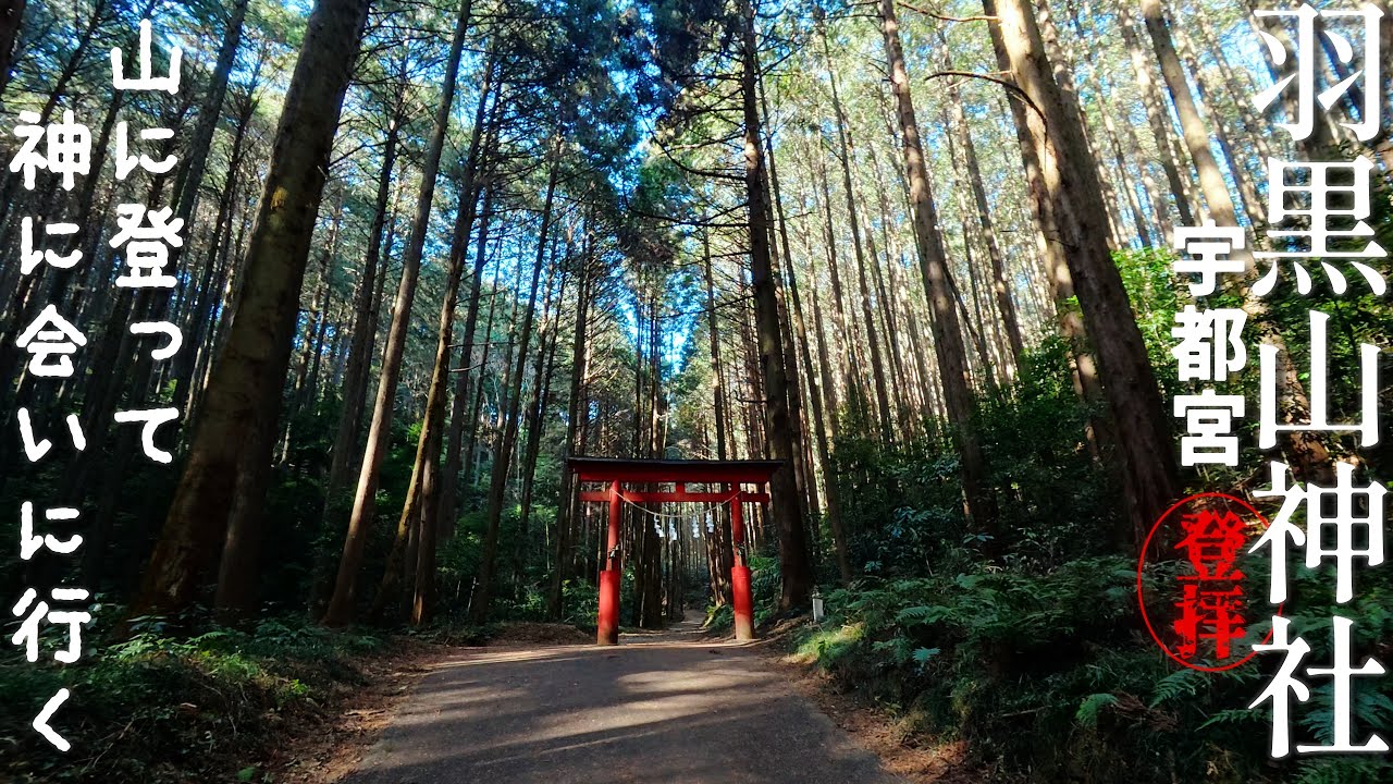 [4K]エッサエッサ梵天祭の竹は2種類の竹をつなげてるって伝えなきゃ✨登拝！羽黒山神社❮はぐろさん❯✨JP303＠栃木県宇都宮市[2026.1.16撮影]歌詞は字幕✨新曲🎵「山に登って神に会いに行く」