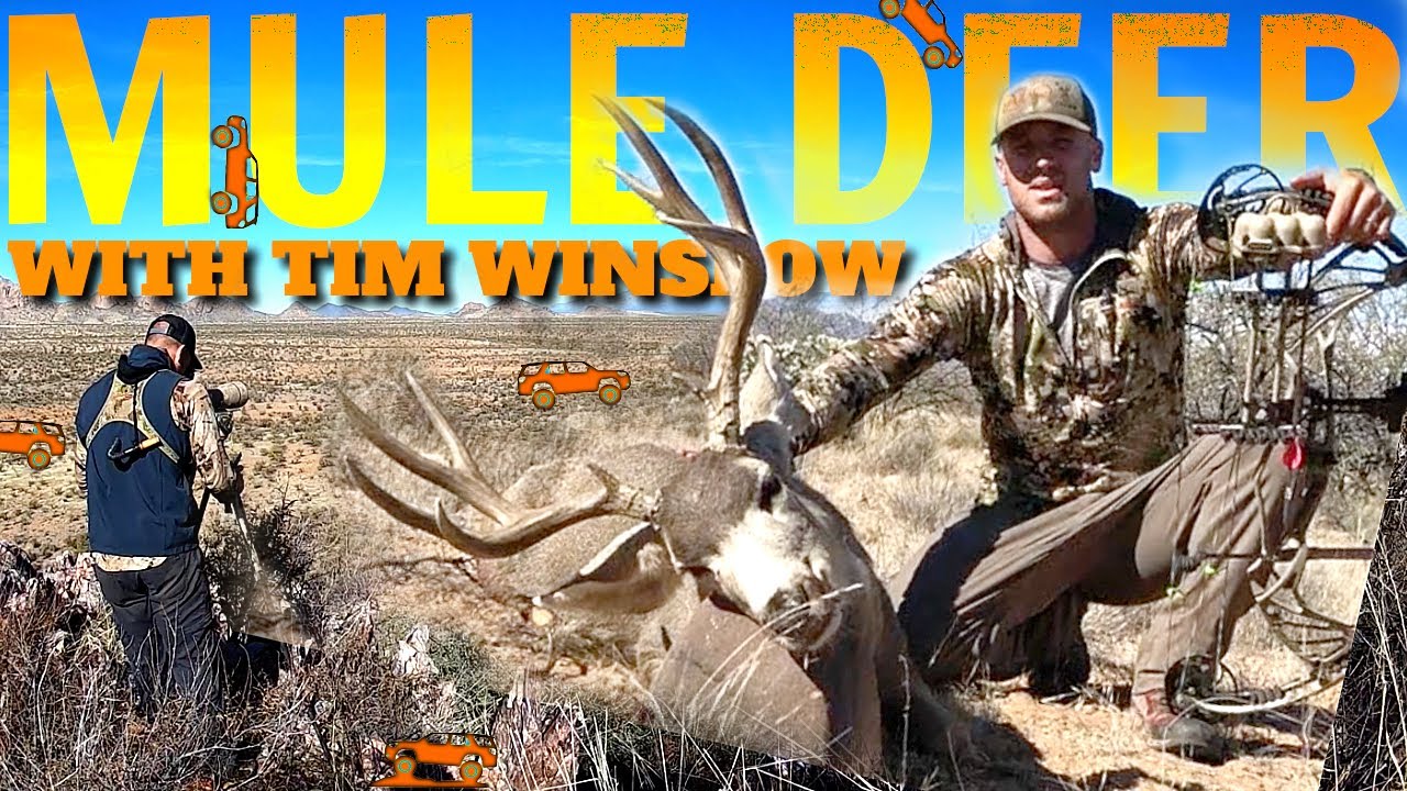 Hunting Mule Deer with Tim Winslow (ARIZONA)