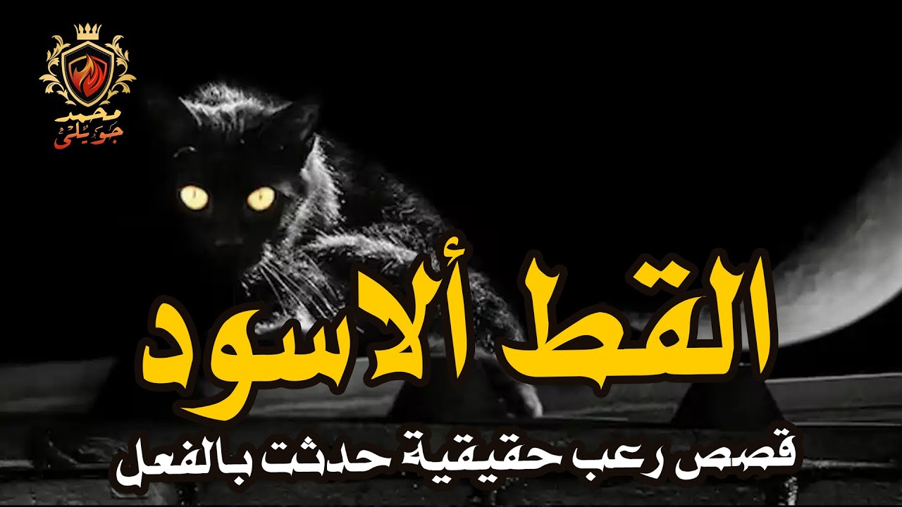 قصة رعب حقيقية / حارس امن مخزن أدويه بمنطقه شعبيه كاد يموت من الرعب بسبب ما شاهده ( القط ألاسود )