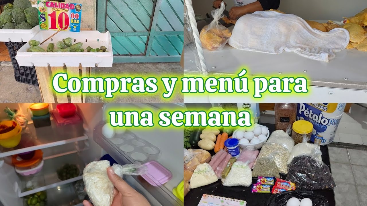 COMPRAS DE COMIDA CON $1,600 // ASI QUEDO MI MENÚ 