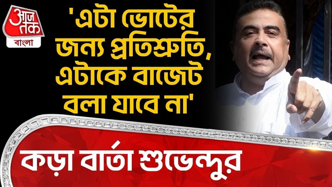 'এটা ভোটের জন্য প্রতিশ্রুতি, এটাকে বাজেট বলা যাবে না' কড়া বার্তা শুভেন্দুর | Suvendu Adhikari | PN