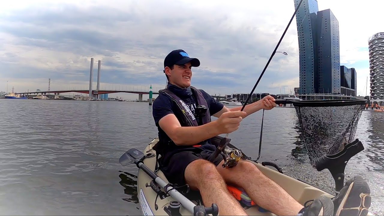 Pinky Snapper Fishing Docklands