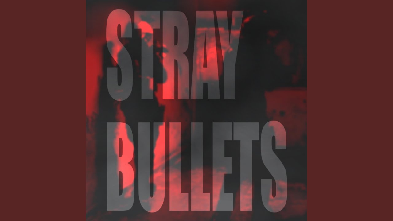 Stray Bullets